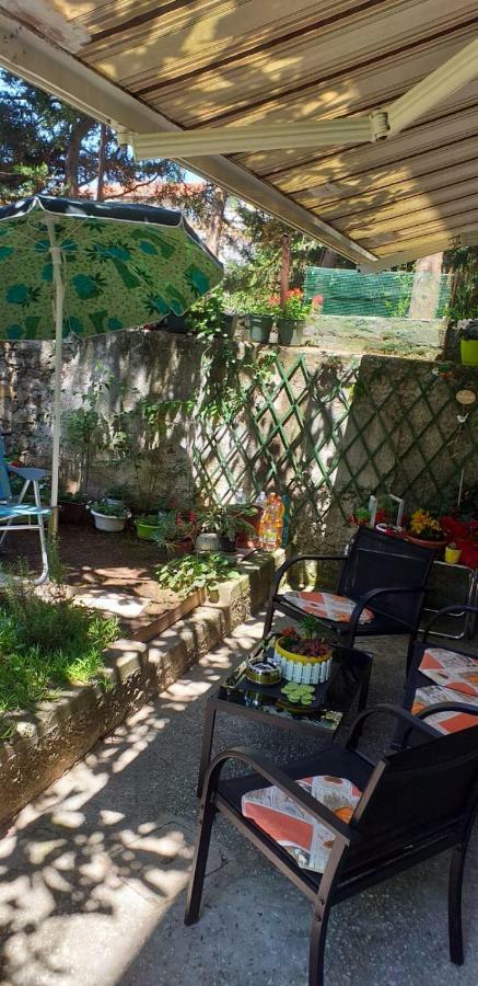 טריאסטה Casa Vacanze Poison מראה חיצוני תמונה